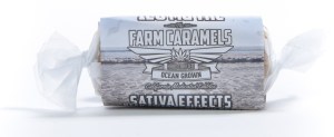 farmcaramelsativa